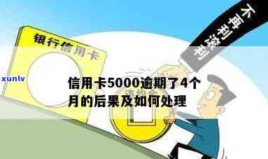 信用卡5000逾期规定及处理方式