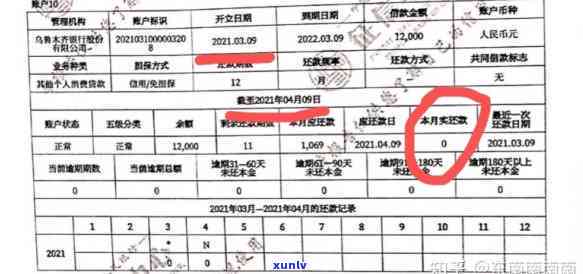 信用卡逾期情况汇总表填写及报告指南