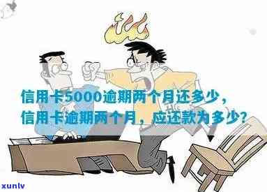 信用卡5000逾期两天利息多少，两年后要还多少