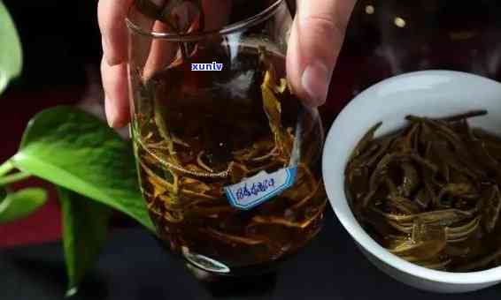 老班章古树茶怎么喝，老班章古树茶：如何品鉴与正确饮用？