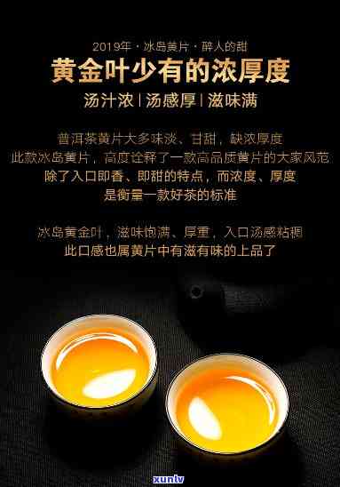 冰岛黄金片是什么茶-冰岛黄金片是什么茶叶做的