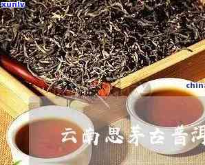 思古普洱茶业责任产品与管理