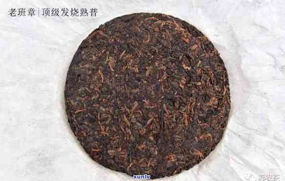 熟普洱老班章怎么样-普洱熟茶老班章