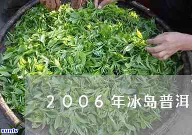 2006年的冰岛茶-2006年的冰岛茶多少钱