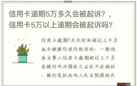 信用卡逾期的后果法律-信用卡逾期的后果法律解释