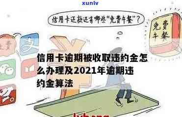 2021年信用卡逾期违约金怎么算？