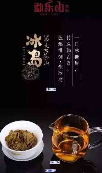 冰岛口粮茶排行榜前十，最新喝什么好