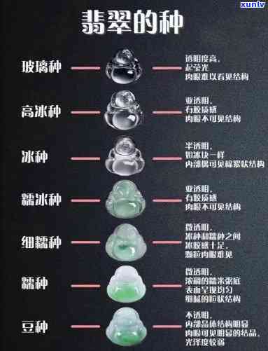 翡翠种水八个等级对比图及价格