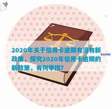 2020年关于信用卡逾期有没有新政策，2020年信用卡逾期政策更新：有何新动向？