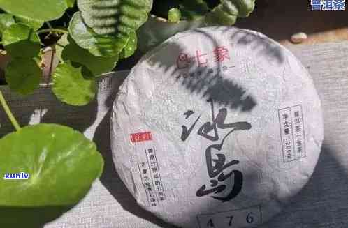 冰岛茶2008年价格，2008年的冰岛茶：价格回顾与趋势分析