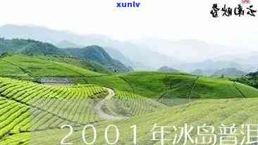 2008年冰岛圆茶-云南冰岛圆茶2001年多少钱