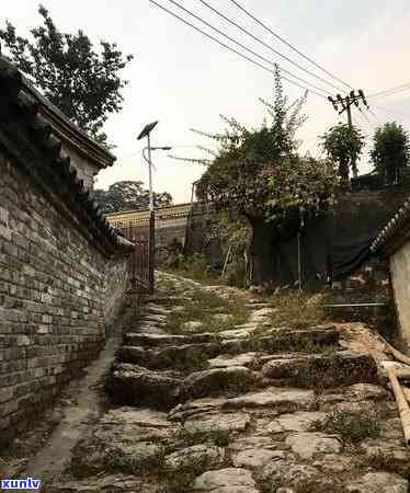 冰岛茶订制厂家在哪-冰岛茶订制厂家在哪里