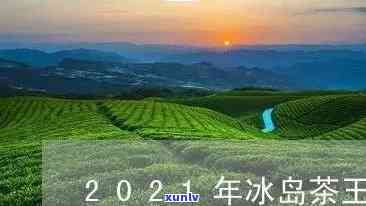 2021冰岛茶王，2021 冰岛茶王：揭秘这款畅销茶品的故事与魅力