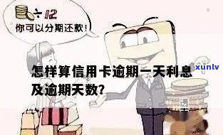 怎么算信用卡逾期天数及利息