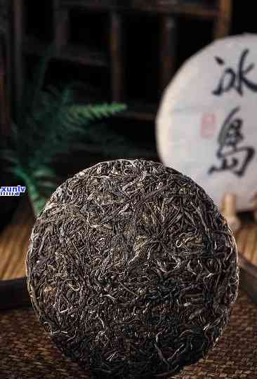 冰岛古树茶属于什么茶，冰岛古树茶：它究竟属于哪一类茶？