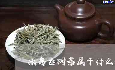 冰岛古树茶属什么茶-冰岛古树茶属什么茶类