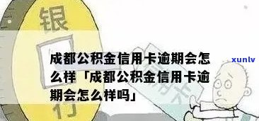 公积金信用卡逾期有什么影响及相关政策规定