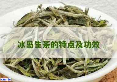 冰岛散茶生茶的介绍-冰岛散茶生茶的介绍和特点