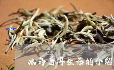 冰岛甜生茶是什么茶类，揭秘冰岛甜生茶：究竟是何种茶类？