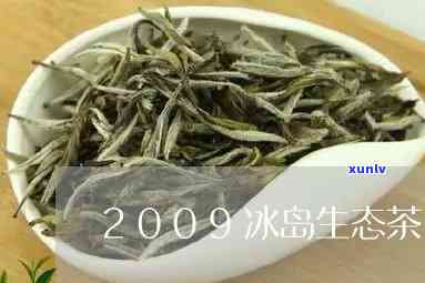 2009冰岛生态茶-冰岛生态茶口感