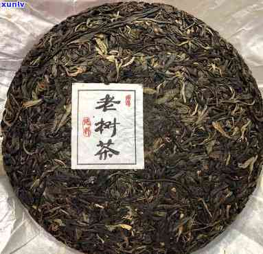 2009冰岛老树茶-冰岛老树茶价格