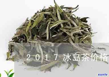 2019冰岛茶的价格查询-2020冰岛茶价格