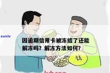 逾期了信用卡被冻结怎么解封？