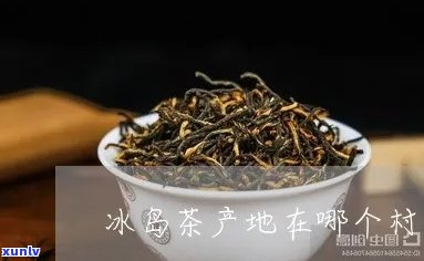 冰岛茶是在冰岛村吗-冰岛茶在哪个县