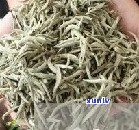 十大国营普洱茶老厂全解析：地理位置、历背景及特色产品一网打尽