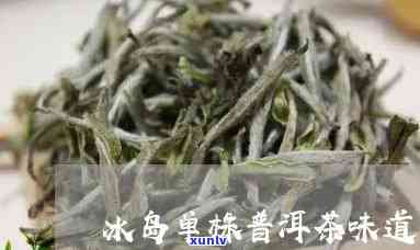 冰岛单芽是什么茶？