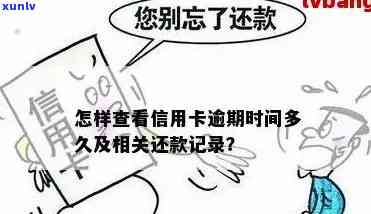 信用卡逾期记录怎样知道还款日期，如何查找信用卡逾期记录并确定还款日期？