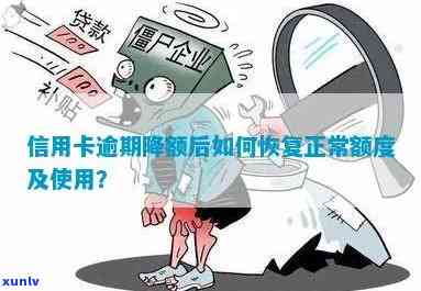 信用卡逾期后无额度怎么恢复正常使用与