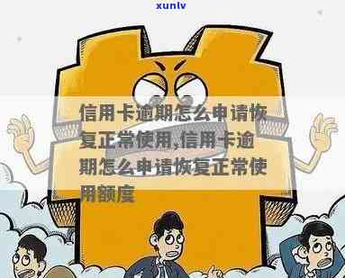 信用卡逾期后无额度怎么恢复正常使用与