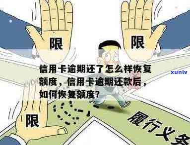 信用卡逾期无额度了怎么恢复，信用卡逾期无额度：如何快速恢复信用？