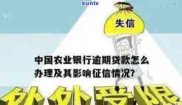 农业银行信用贷款逾期了无法偿还会怎样处理？