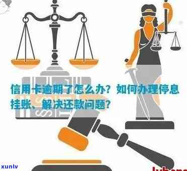 信用卡逾期能否停息挂账呢，怎么办？