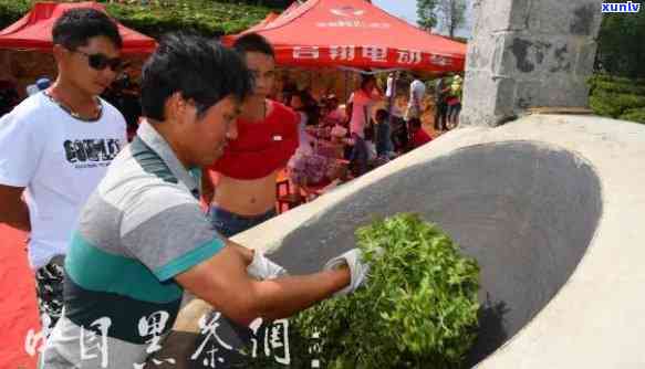 勐库冰岛印象茶厂官网，探索勐库冰岛印象茶厂官网：品味茶文化的独特魅力