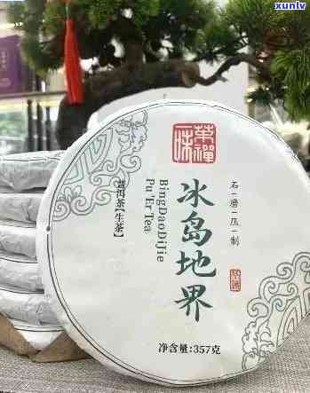 冰岛地界是什么茶，冰岛地界：探寻其茶文化的奥秘