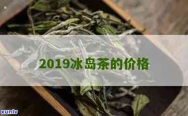 2020年冰岛茶价格查询-2021年冰岛茶价格