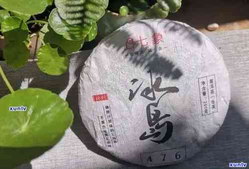 冰岛正山古树茶价格多少一斤，口感特点