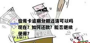 信用卡逾期还能刷嘛现在，信用卡逾期能否继续刷卡？解答现有情况下的疑问