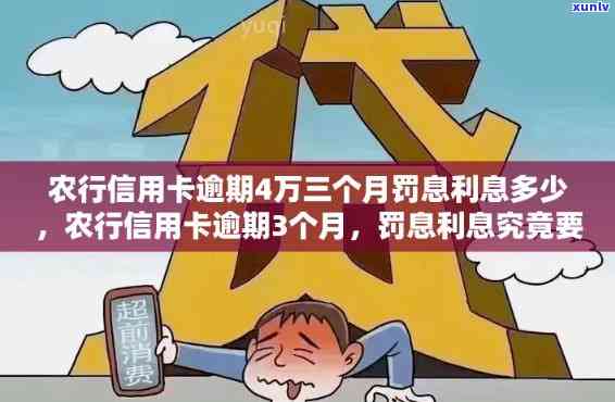 农业信用卡逾期利息多少钱一天和一个月