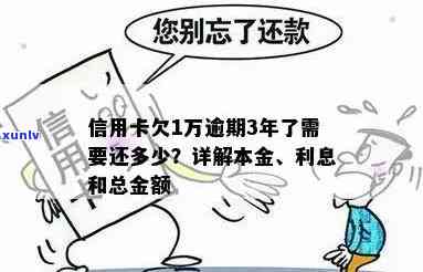 信用卡本金1万逾期-信用卡本金1万逾期要还5万吗怎么办