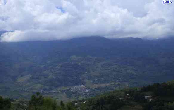 冰岛附近茶山景区：探索茶山的乐趣