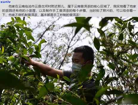 冰岛附近茶山景区：探索茶山的乐趣