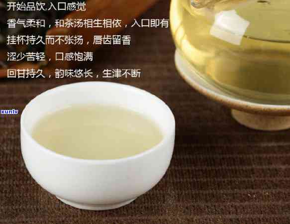 南迫冰岛价格及茶品信息