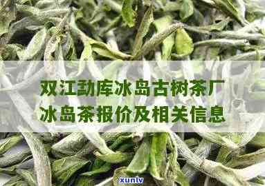 双江勐库冰岛古树茶-双江勐库冰岛古树茶厂