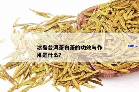 冰岛白茶是的白茶了吗：功效与作用，属于什么茶