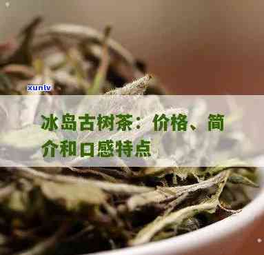 冰岛古树茶的功效与作用，冰岛古树茶：功效与作用的全面解析