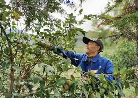 黟县信用卡逾期一千多人-信用卡,逾期1000多块钱没还会怎么样